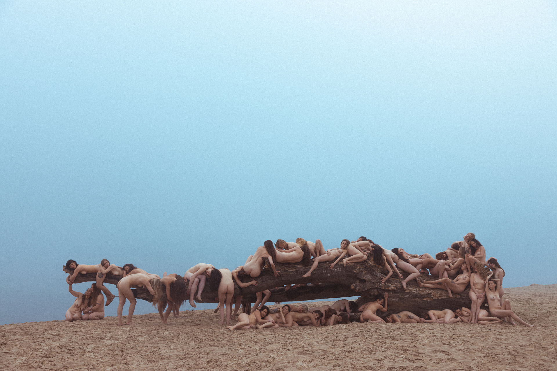 pięćdziesiąt nagich kobiet leżących na wyrzuconym przez wodę konarze drzewa (2021), Ciałobrazy