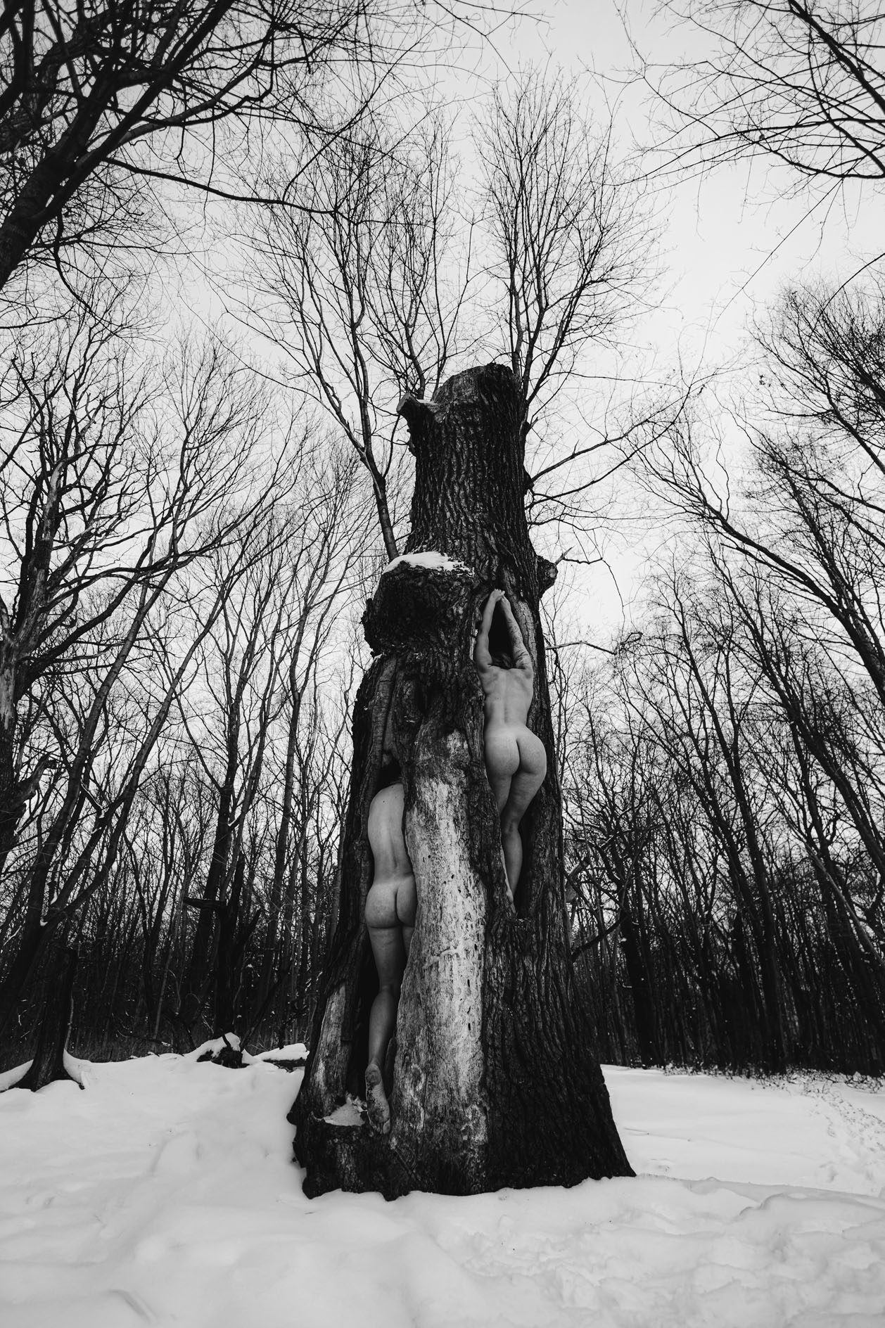 fotografia przedstawiająca dwie nagie kobiety schowane w pniu drzewa, ciałobrazy, 2023